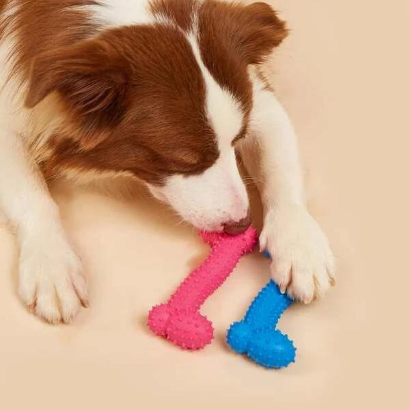 Kit 10 Brinquedos Mordedor Cachorro Filhote Anti Estress Pet Galinha Bola Diversos Borracha